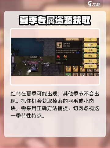 饥荒新家园红鸟在哪介绍截图4