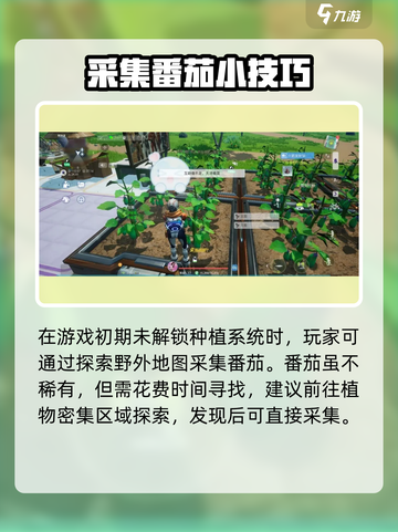 🔥《创造吧！肥番茄获取全攻略》🍅截图2