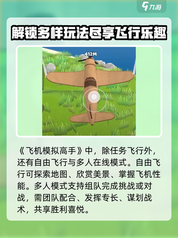 飞机模拟高手好玩吗介绍截图6