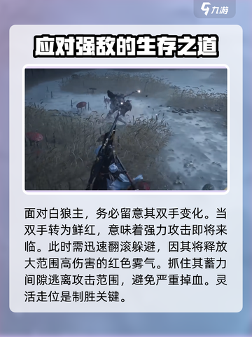 燕云十六声白狼主打法攻略介绍截图2