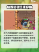 英勇之地丛林跑图装备如何选择介绍截图2