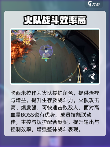 星塔旅人火队怎么搭配介绍截图3