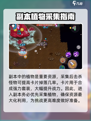 元气骑士前传❗潮湿溶洞打法攻略🔥截图7