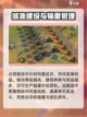 三国谋定天下🔥立国攻略，快速称霸必备！截图4