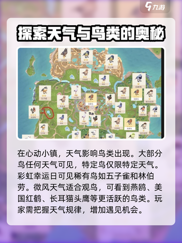 心动小镇🔥超全观鸟解锁攻略🐦快速上手！截图2