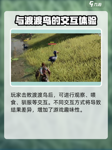 荒野起源渡渡鸟的特点分享介绍截图4