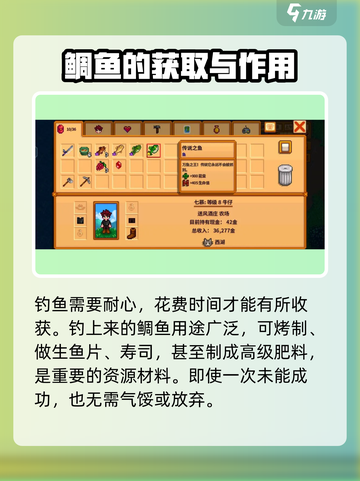 星露谷物语鲷鱼怎么钓介绍截图5