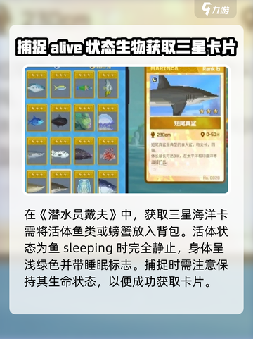 潜水员戴夫海洋卡如何获取介绍截图2