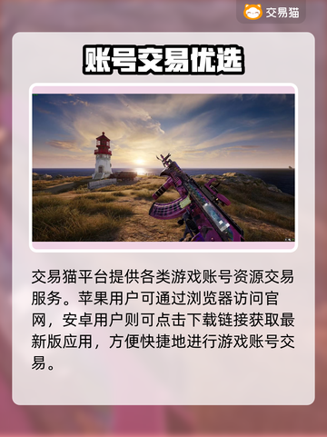  PUBG小白号速购平台推荐🔥安全有保障的游戏账号交易！🎮截图2