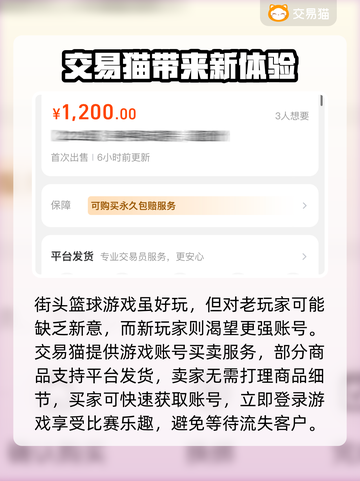 街头篮球账号交易平台推荐💥🔥截图2