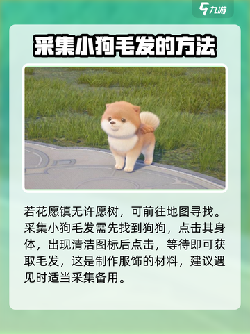 无限暖暖狗狗在哪介绍截图5