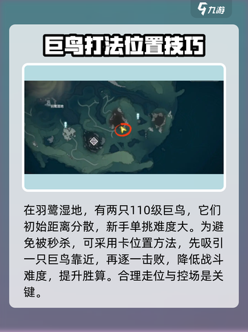 鸣潮⚡双生翎鹭打法分享，轻松通关不是梦！🔥截图2