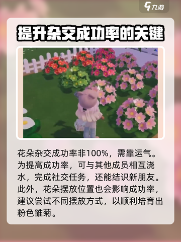 心动小镇✨粉色雏菊培育秘籍，快速上手！截图4