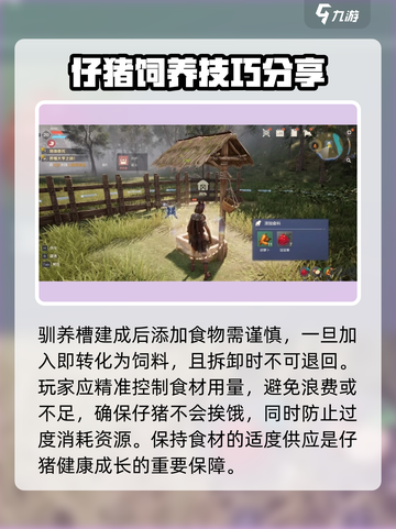 荒野起源养猪怎么养介绍截图3