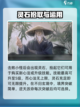 鬼谷八荒不归玄境怎么样介绍截图3
