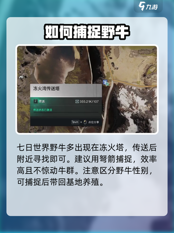 七日世界野牛哪里抓介绍截图4