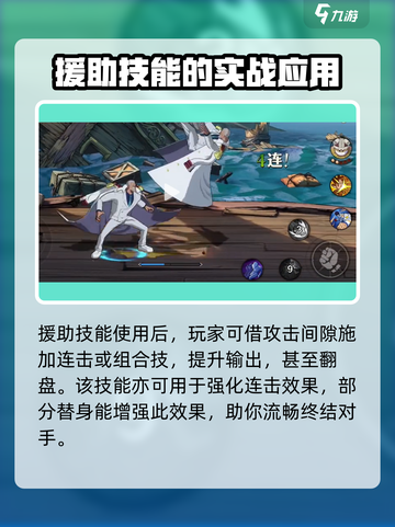 航海王壮志雄心有替身吗介绍截图4