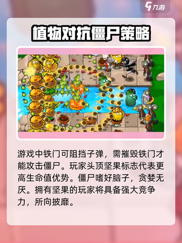 植物大战僵尸：至尊VIP坚果💥，防御力MAX！🔥截图4