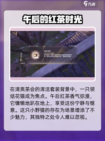 无限暖暖领结花猫在哪介绍截图4