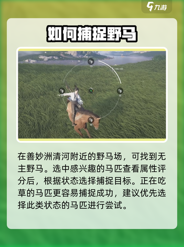 燕云十六声怎么抓马介绍截图2