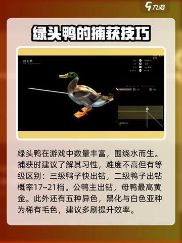 猎人之路🔥绿头鸭抓捕地点大揭秘！🦆截图2