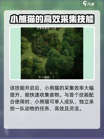 野兽领主新世界小熊猫怎么样介绍截图5