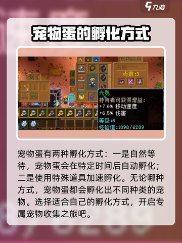 护核纪元怎么孵蛋介绍截图4