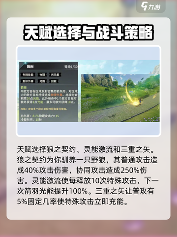 星痕共鸣驭兽流怎么玩介绍截图3