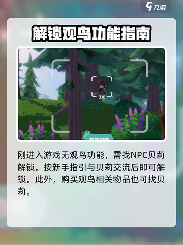 心动小镇观鸟秘籍🔥超全攻略来袭！Bird Watching🎮截图2