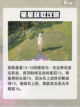 无限暖暖奇想星怎么拿介绍截图5