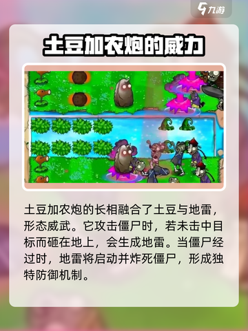 植物大战僵尸：土豆加农炮🔥超神技巧大公开！截图3
