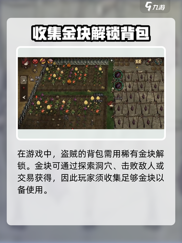 饥荒新家园盗贼的背包怎么解锁介绍截图2