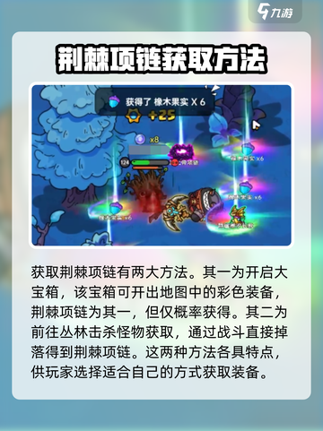 英勇之地荆棘项链怎么获得介绍截图4