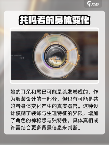鸣潮灯灯什么时候出介绍截图5