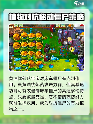 植物大战僵尸杂交版🔥床车僵尸打法攻略来啦！截图4