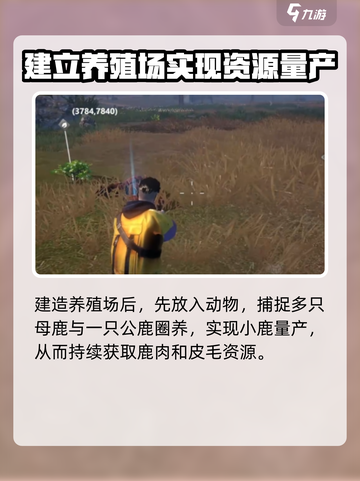 逆境重生母鹿抓捕🔥超简单攻略来啦！🎮截图4