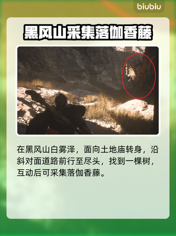 黑神话悟空🔥落伽香藤作用及获取攻略✨截图3