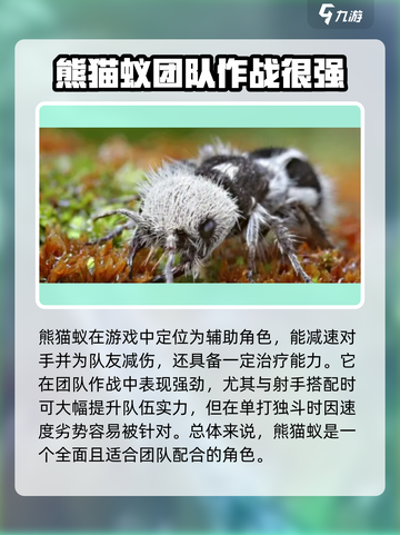 小小蚁国最强蚂蚁排行🔥助你称霸游戏🔥截图3