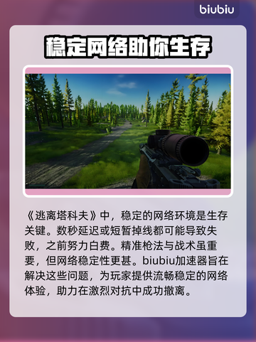 逃离塔科夫🔥加速器哪个好用？下载链接分享🎉截图2