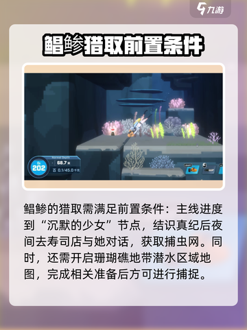 潜水员戴夫鲳鲹在哪介绍截图2