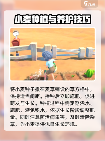 沙石镇时光🌟小麦种植秘籍🔥注意事项全攻略！截图4