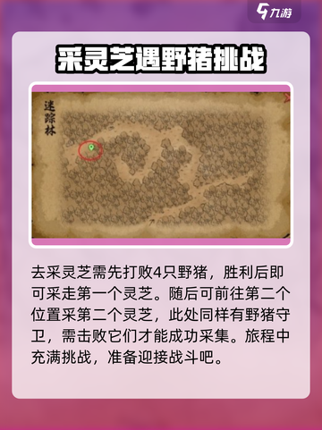 《大侠立志传》🔥灵芝位置全揭秘！📌截图3