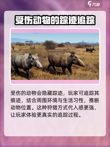猎人之路🔥中文设置教程，快速玩转游戏！截图4