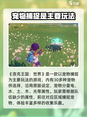 洛克王国手游怎么玩介绍截图2