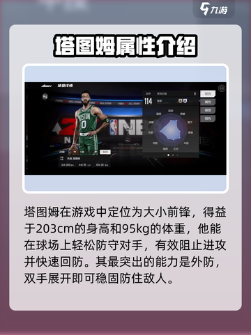 美职篮全明星塔图姆怎么样介绍截图3