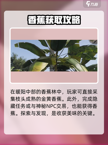 七日世界🍌香蕉竟藏神操作！截图3