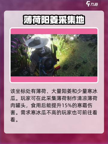 七日世界雪国人生薄荷在哪介绍截图3