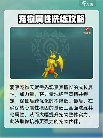 魔力宝贝复兴版🔥宠物洗练终极攻略✨截图3
