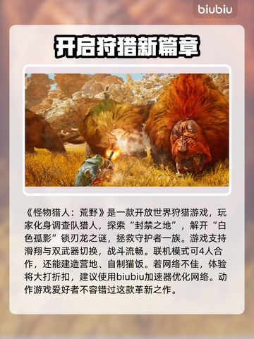 怪物猎人荒野闪退？这样解决立马流畅🎉🎮截图2