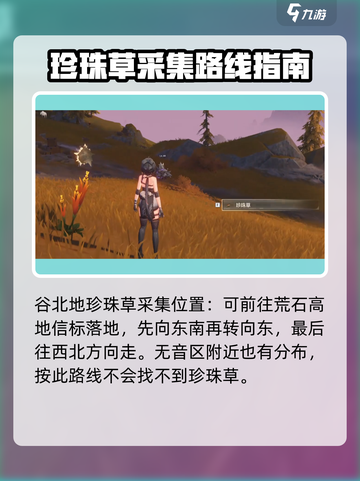 鸣潮💎珍珠草作用及收集攻略，玩家必看！截图4